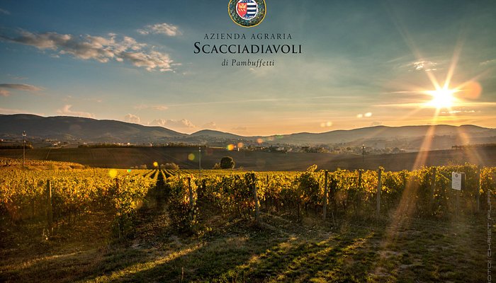 Scacciadiavoli Vineyard